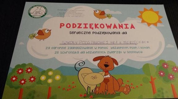 Zdjęcie artykułu
