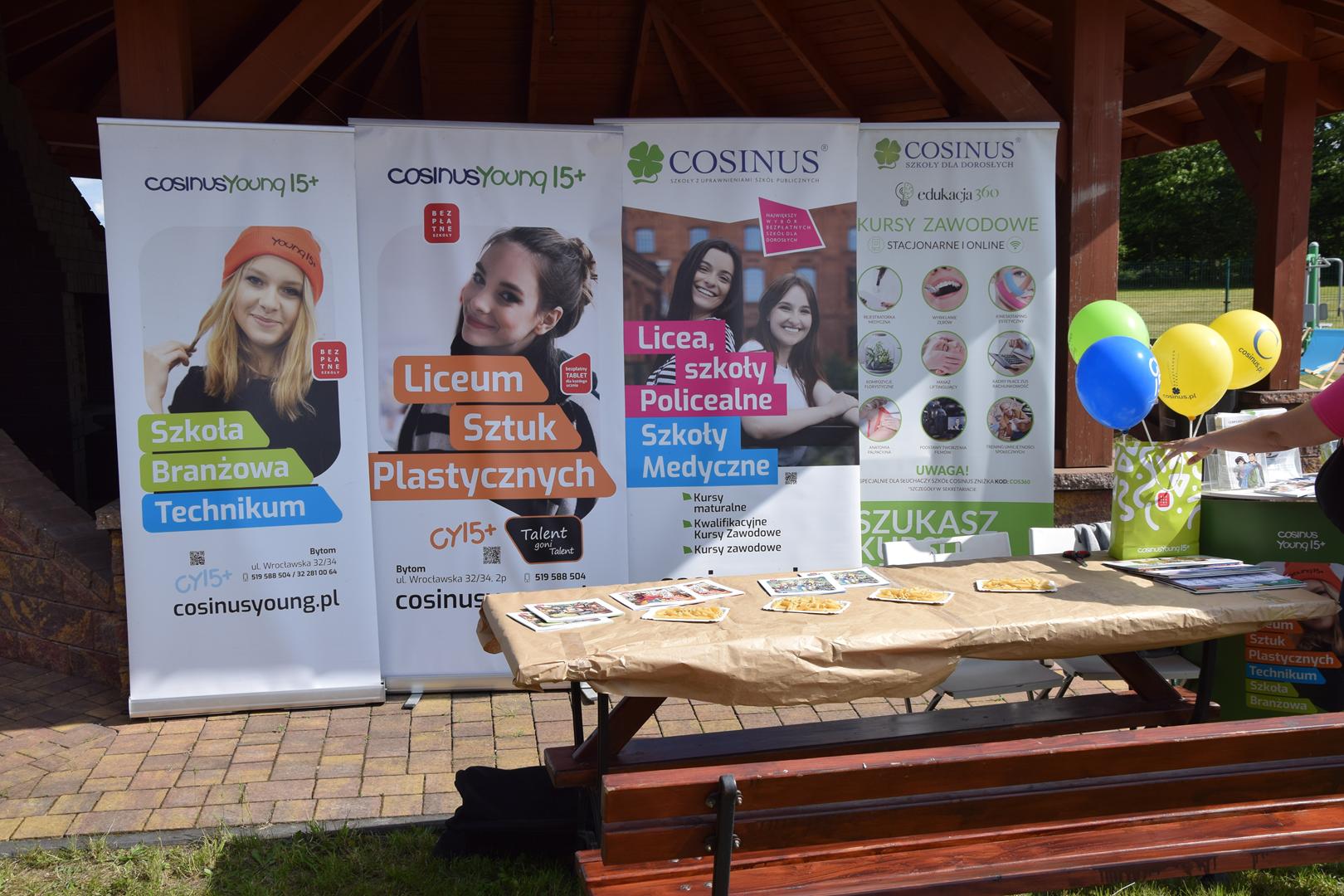 Zdjęcie przedstawia stanowisko szkoły Cosinus na pikniku ekologicznym