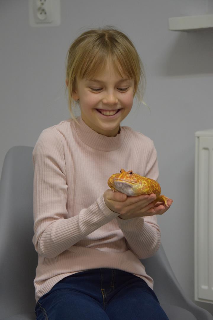 Zdjęcie przedstawia dzieci biorące udział w pokazie żab