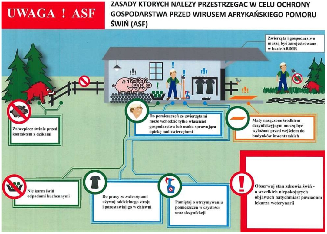 Ulotka informacyjna na temat Afrykańskiego Pomory Świń