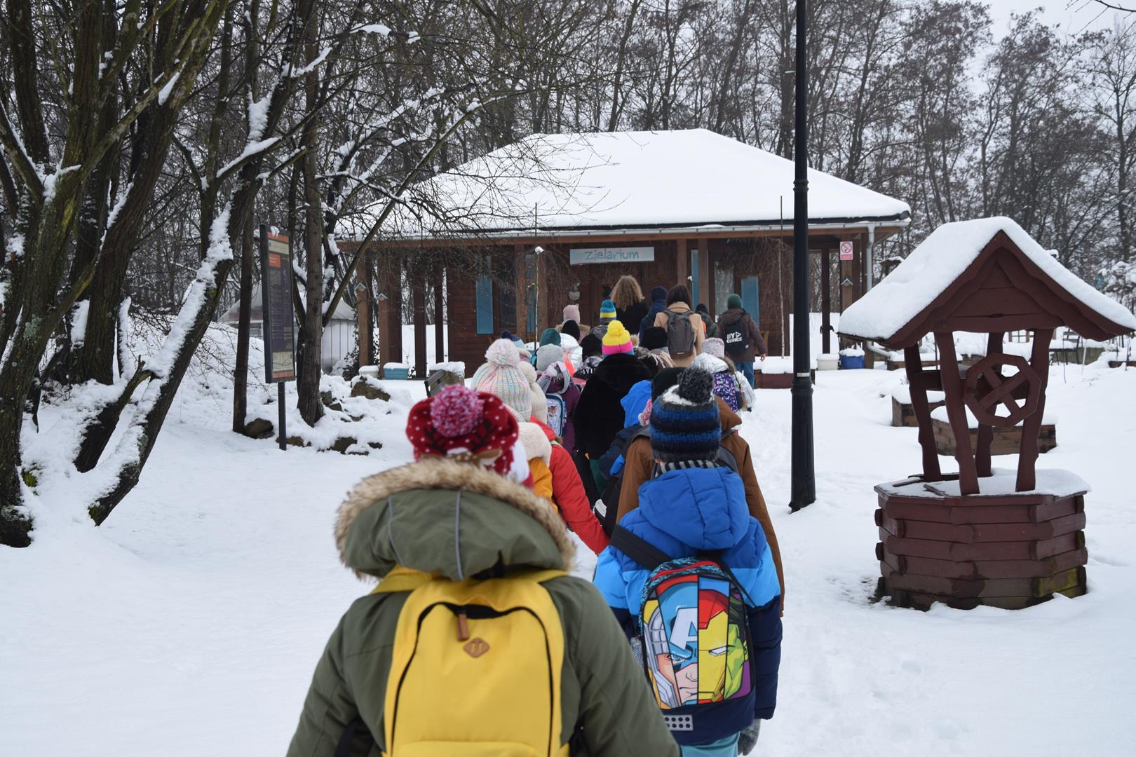 Zdjęcie przedstawiające fragment wycieczki po ogrodzie botanicznym