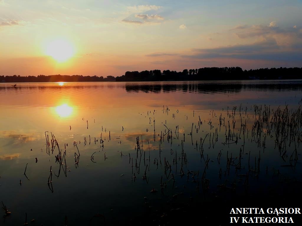 Zdjęcie konkursowe Anety Gąsior