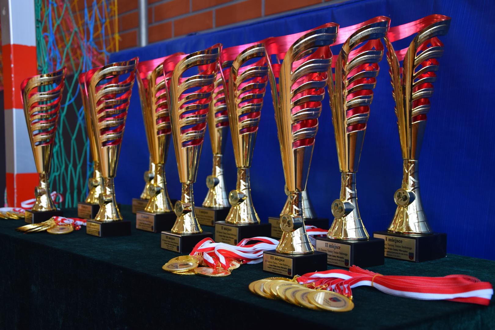 Zdjęcie przedstawia puchary i&nbsp;medale