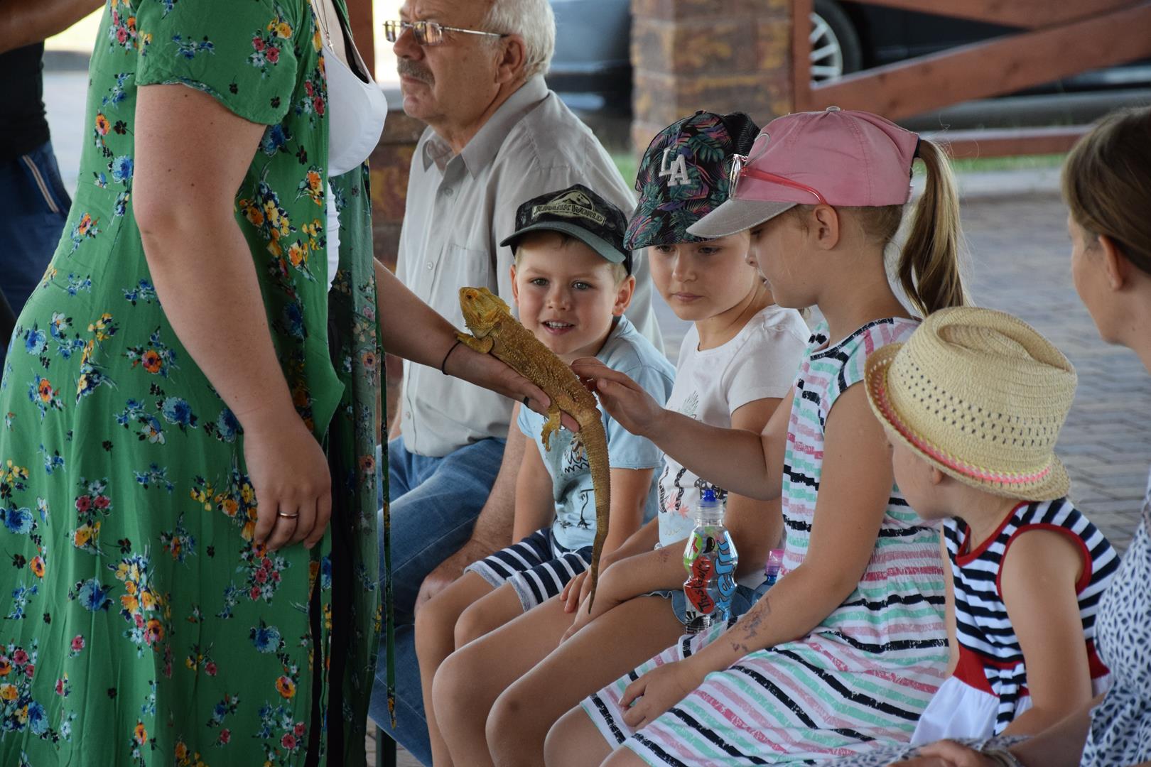 Zdjęcie przedstawiające dzieci na spotkaniu z gadami