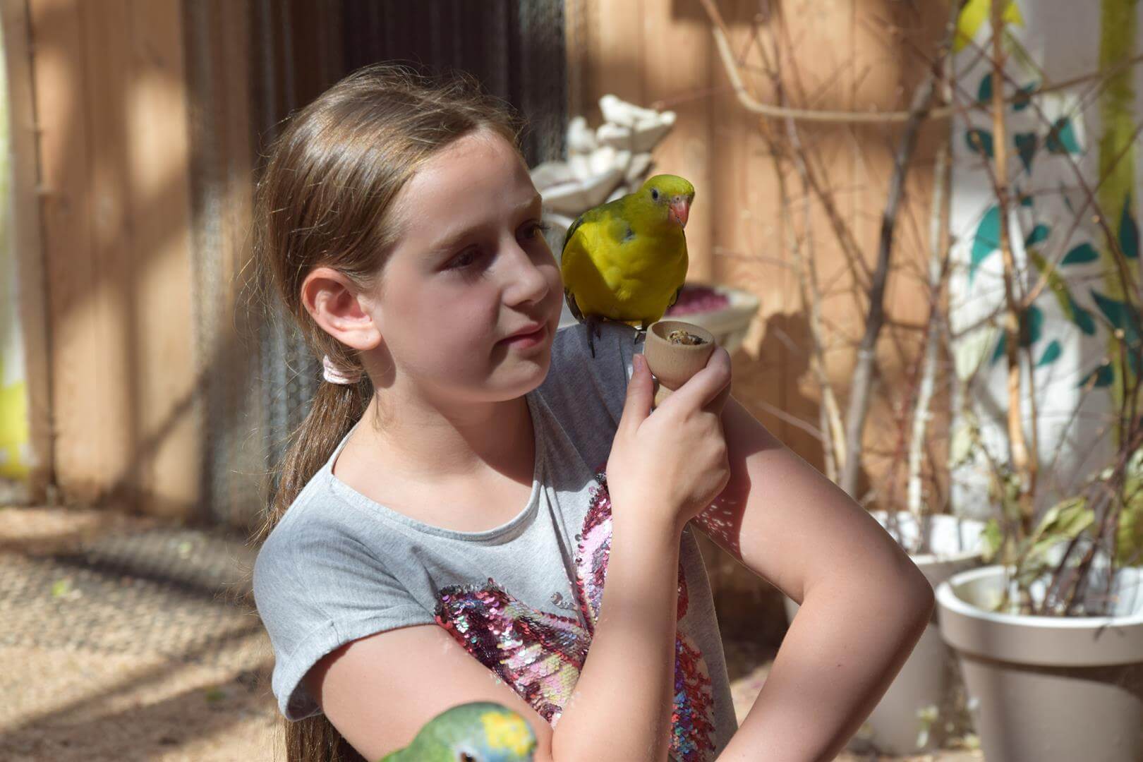 Zdjęcie przedstawiające dziewczynkę z papugą na ramieniu
