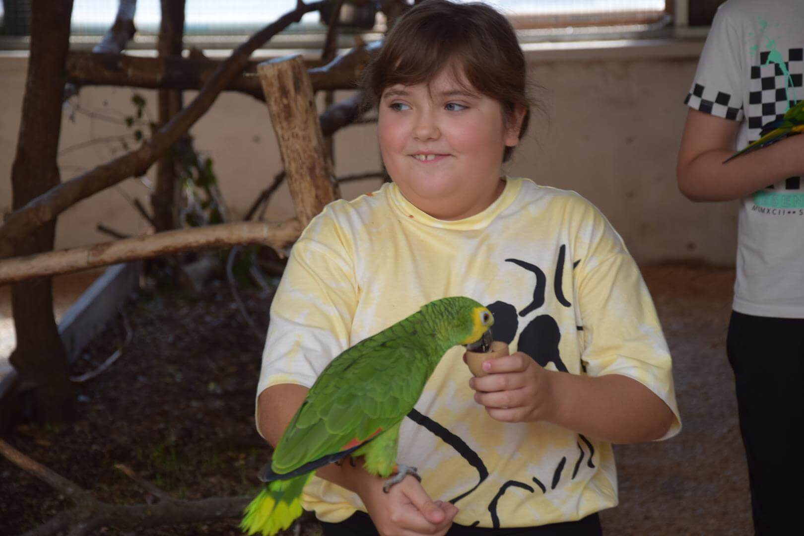 Zdjęcie przedstawiające dziewczynkę karmiącą papugi