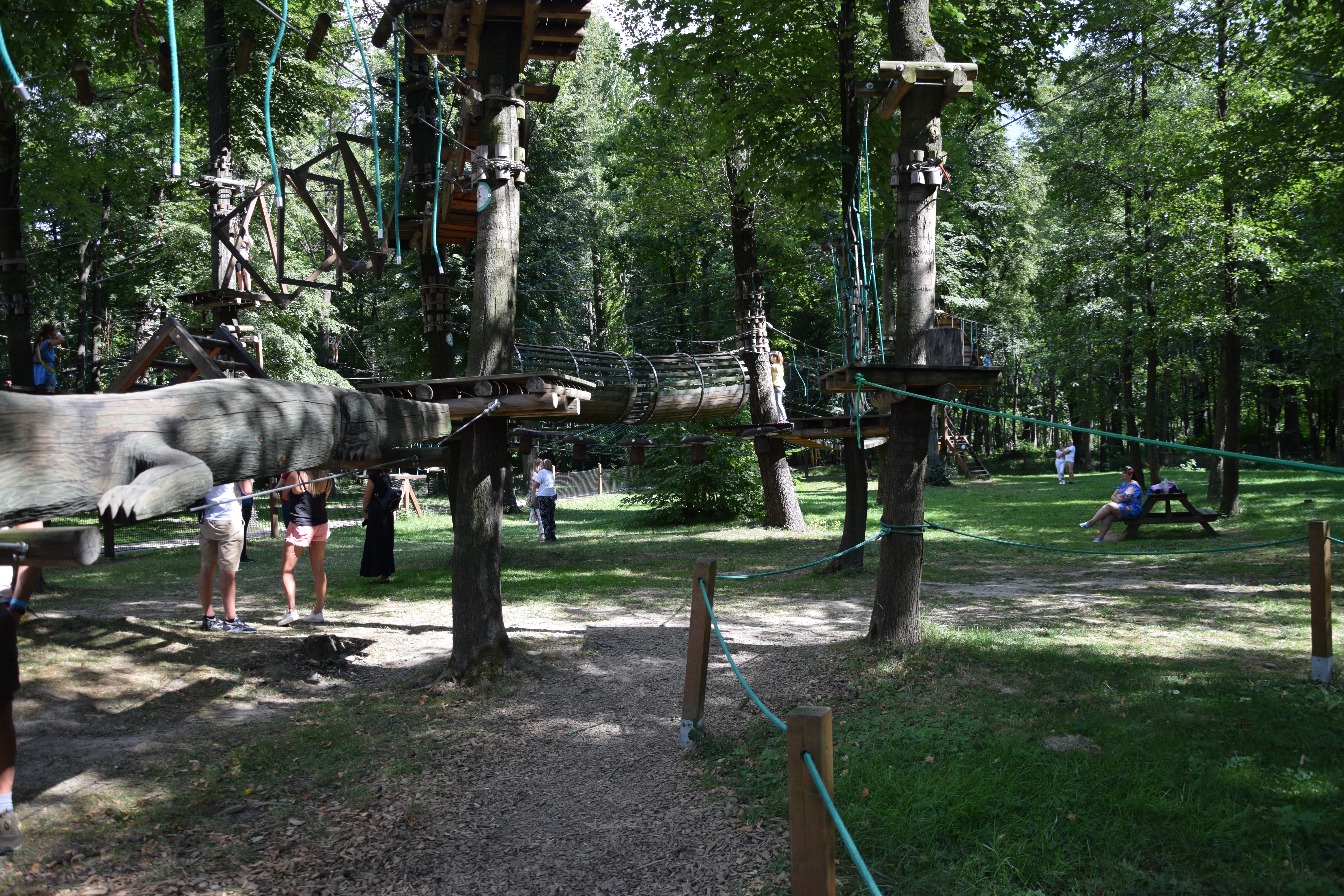 Zdjęcie przedstawiające park linkowy "W dechę"