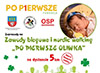 Logo artykułu