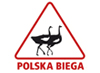Zdjęcie artykułu